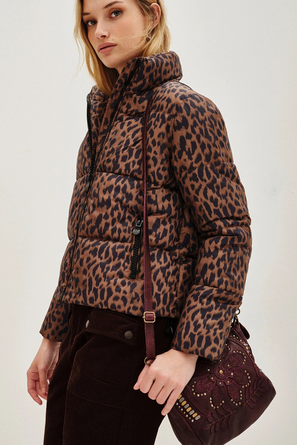 campera bhali animal